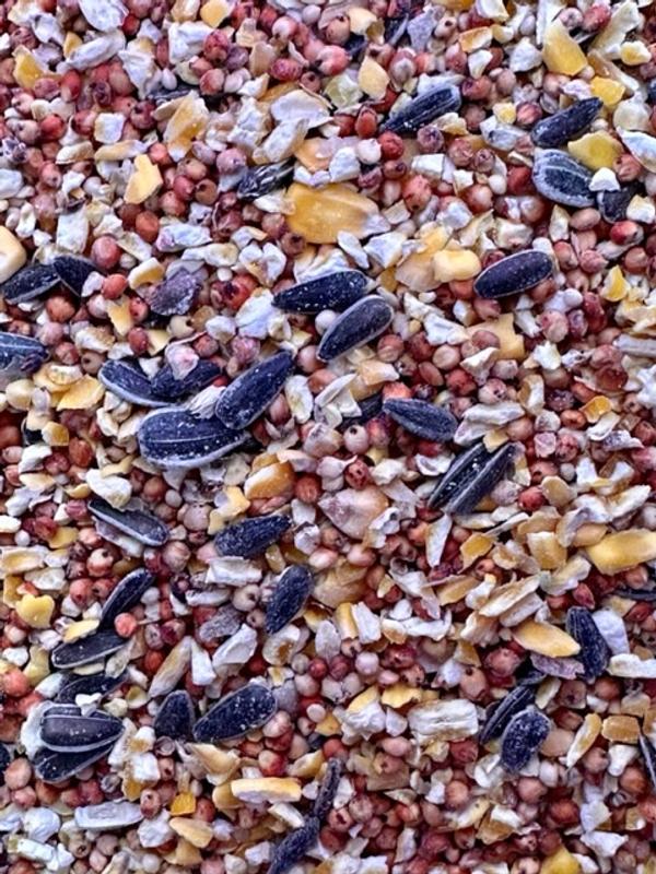 Waste of money for food the birds or squirrels won't eat.