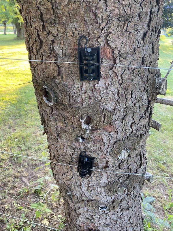 Installed clip
