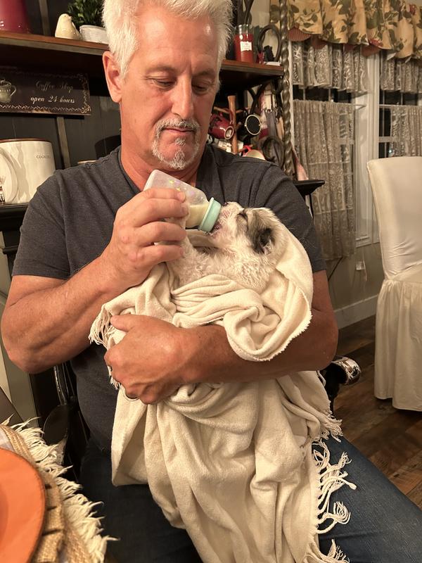 Puppy had some issues at Birth- doing great now