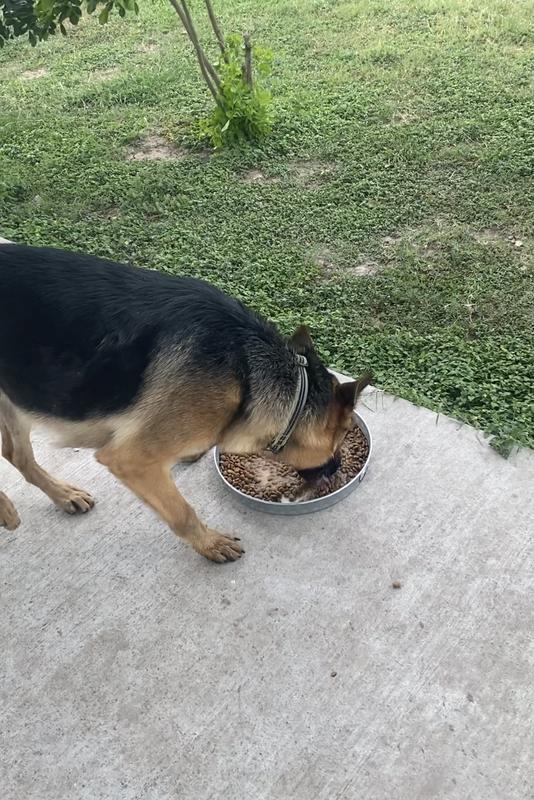 These Guys LOVE Tractor Supply