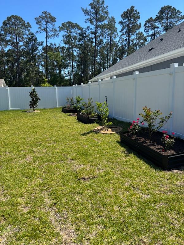 Vegetables and rose garden