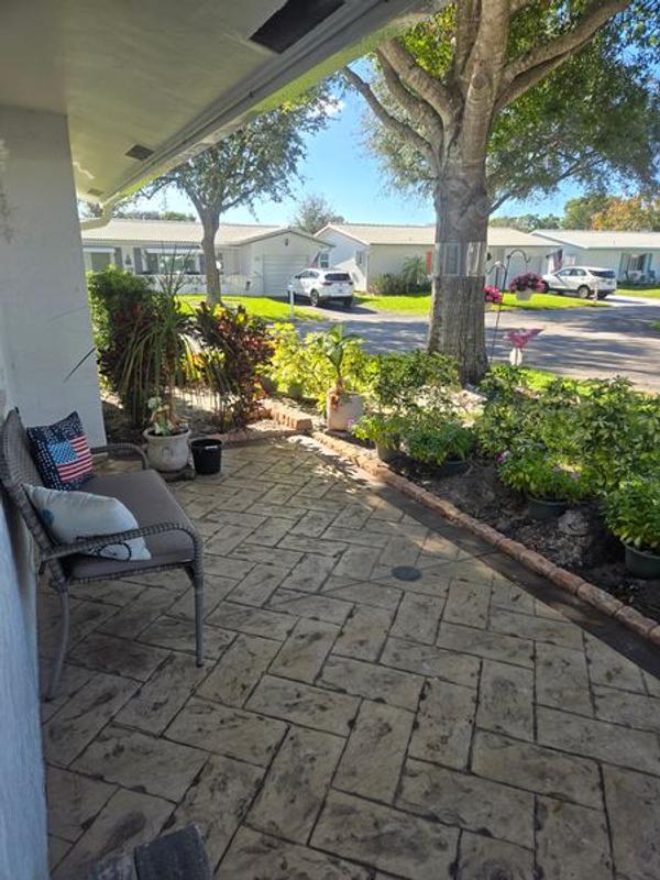 The Tree wrap AND the Iguana Stopper did the trick!