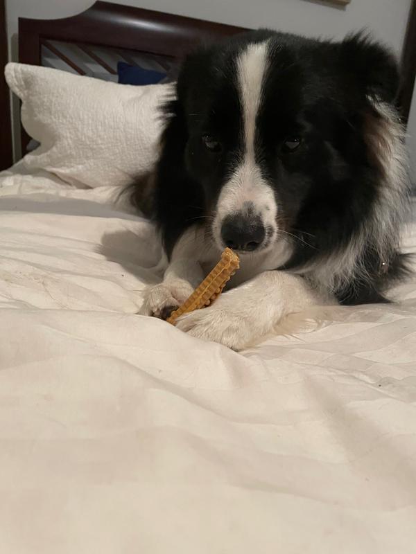 Thanks for buying my brushing chew