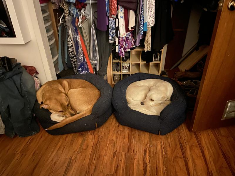 Sleeping like big babies!!