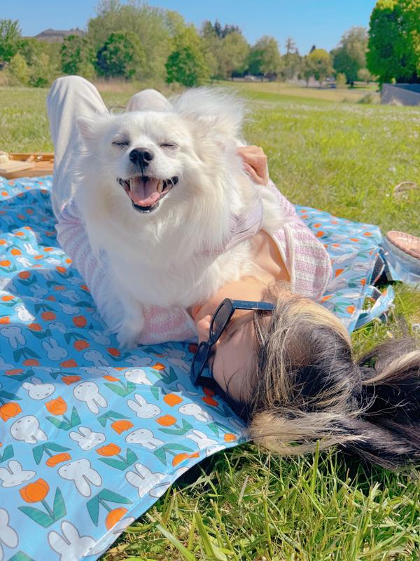 BAGGU & Miffy Puffy Quilted Picnic Blanket | Urban Outfitters