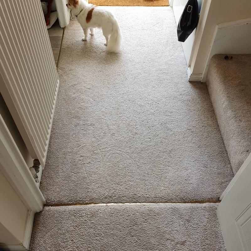 User generated review image 2