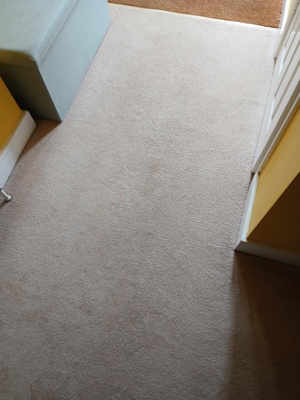 Front room carpet and by the front door