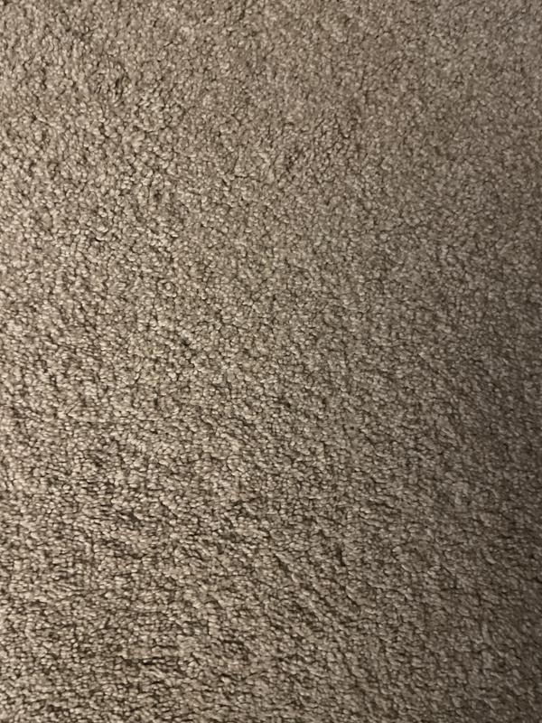 Carpet