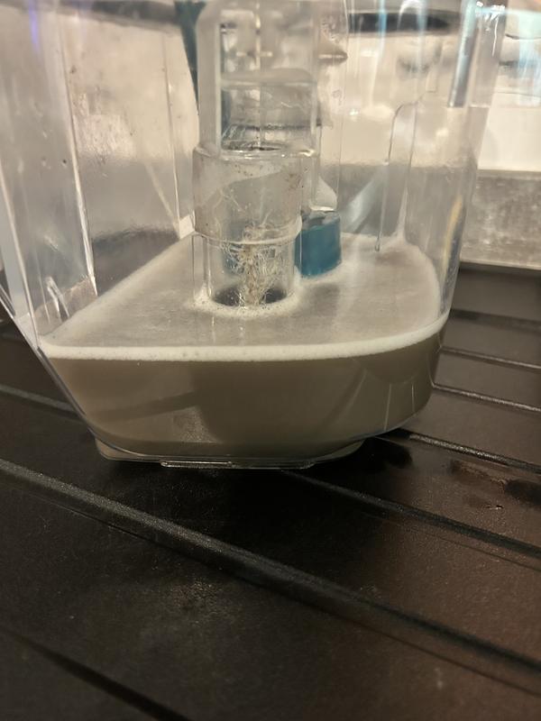 Didn’t realise my rug was this dirty