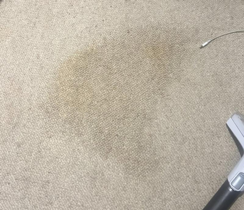 User generated review image 2