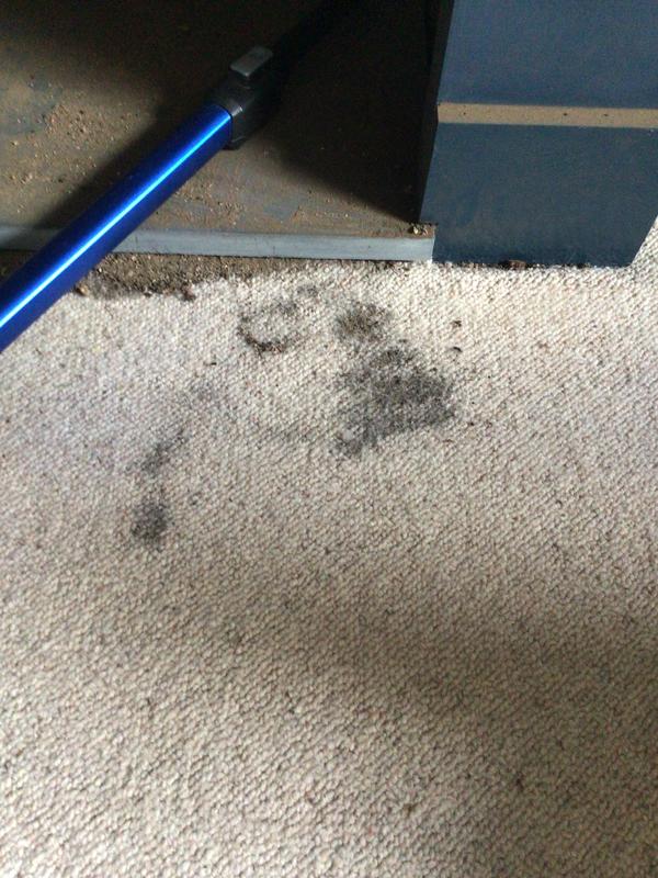 Fell out of the hoover, when started to hoover