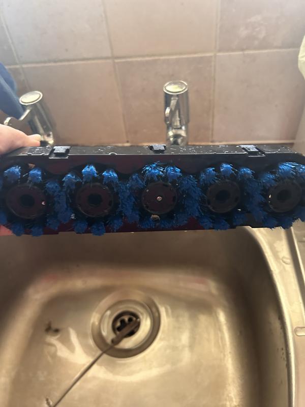 User generated review image 3