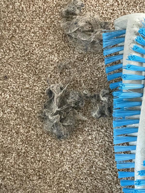 Residue dust and fibres do deposit on the carpet every now and again.