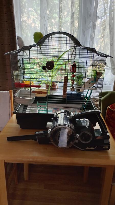 Hand held Vax ideal for hoovering up budgie feathers.