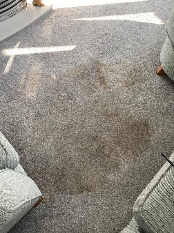 Before image of a Coffee stain on carpet