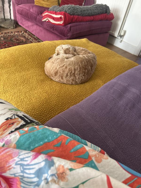 Very happy with her clean sleep area 😂