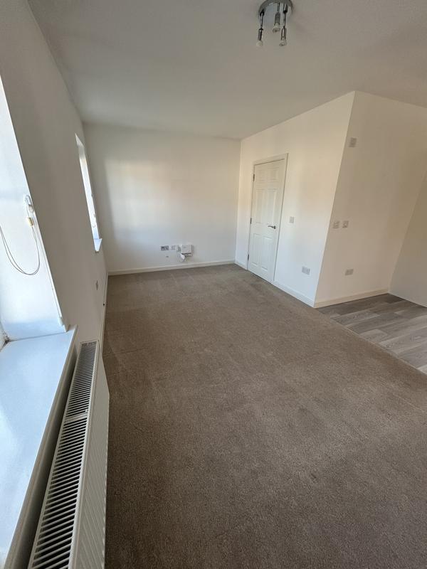 Lounge carpet cleaned and dry in record time