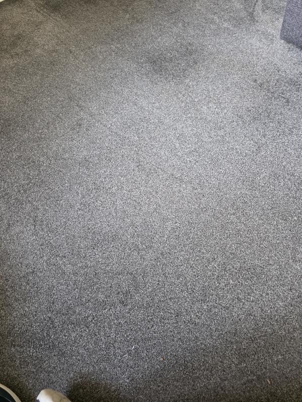 Clean carpet