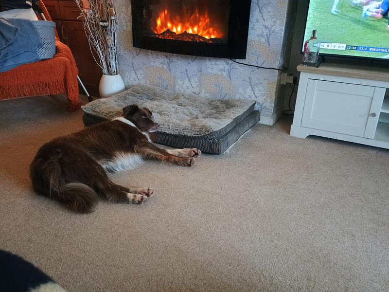 Barney prefers carpet rather than his bed!!