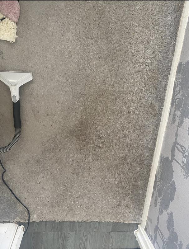 User generated review image 1