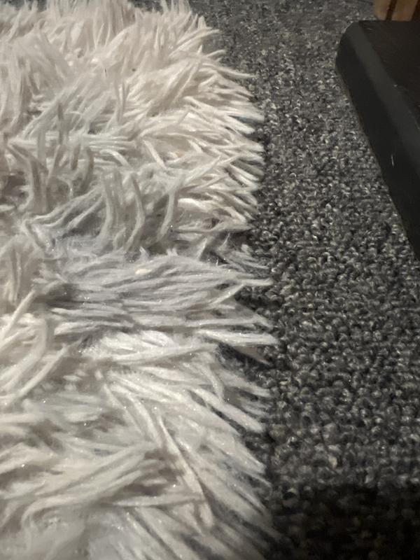 Cleans rugs, dog beds and car seats. So far so good