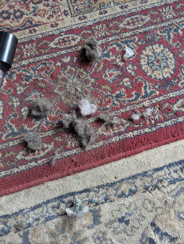 Dog hair. Not hard, just fell off my dog.