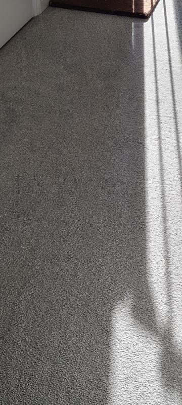 My clean hall carpet in the sunshine