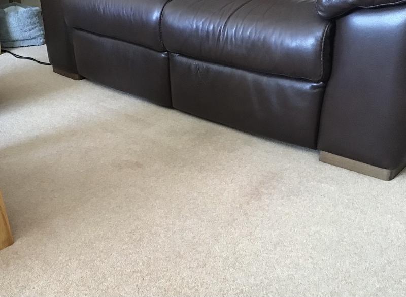 Section of carpet that was cleaned the darker parts are just the direction of the carpet pile which cleaned beautifully.