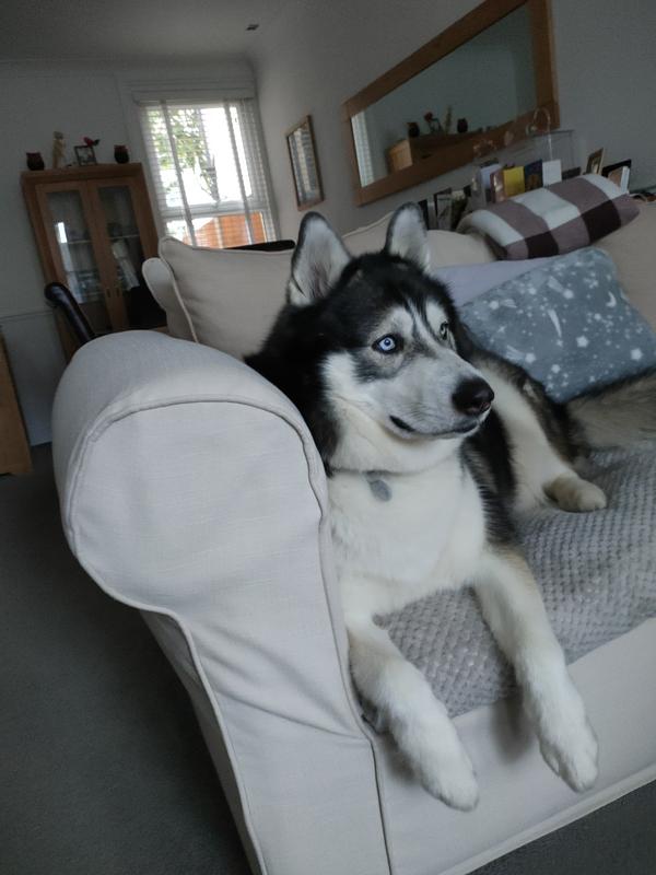 Zeus, on the sfa again