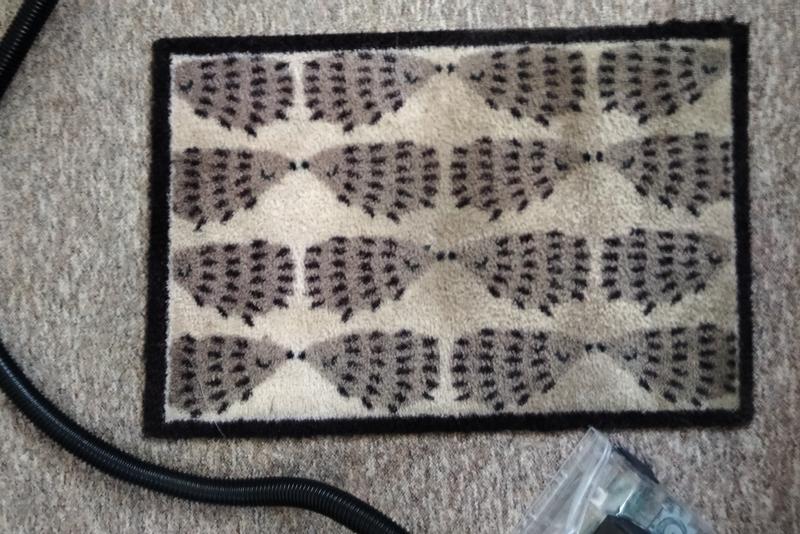 The grotty front door mat: Half scrubbed with the giant toothbrush, the other half sprayed and waiting