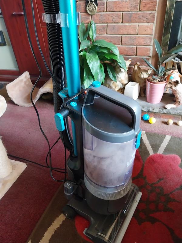 Day after vacuuming with cordless.