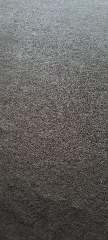 Clean carpet
