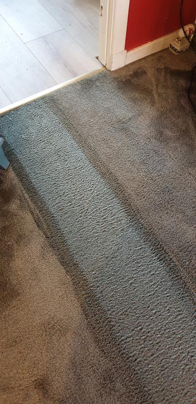 User generated review image 1