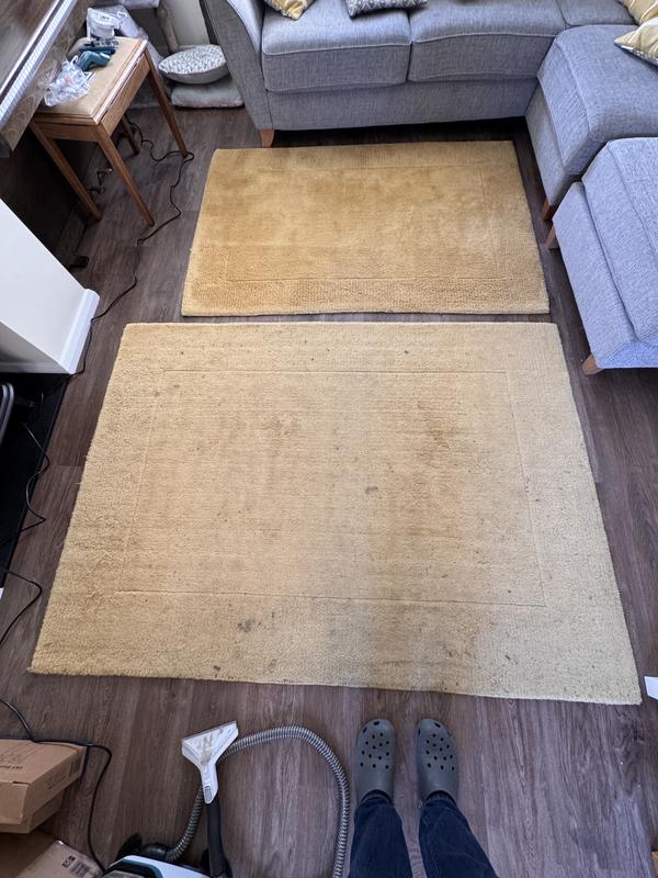 Both rugs were in similar condition, before & after