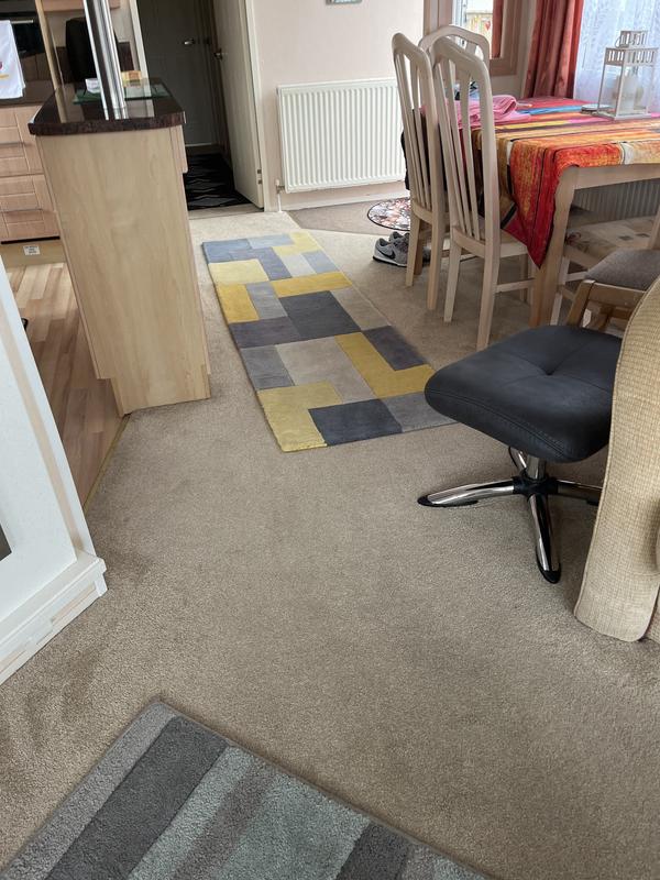 My carpet