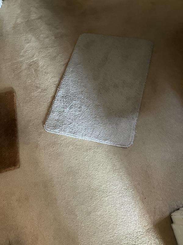 Cleaned carpet