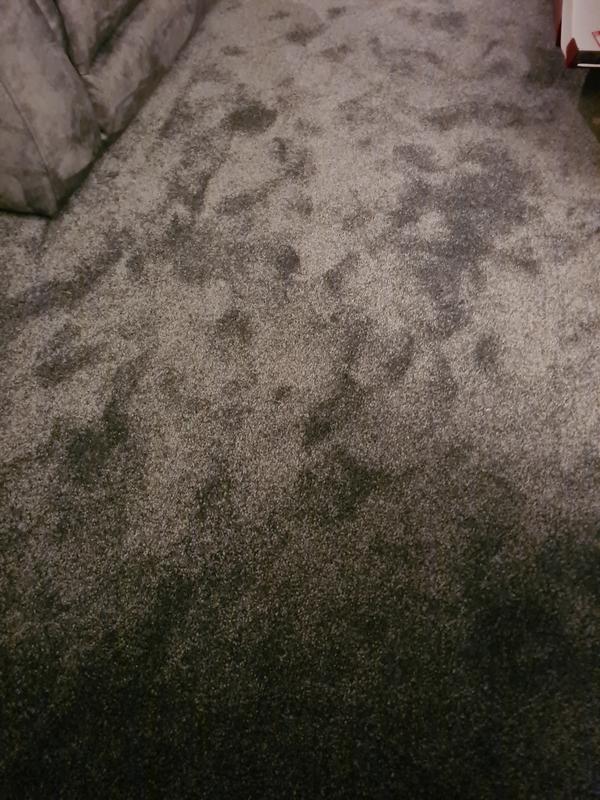 Clean carpet