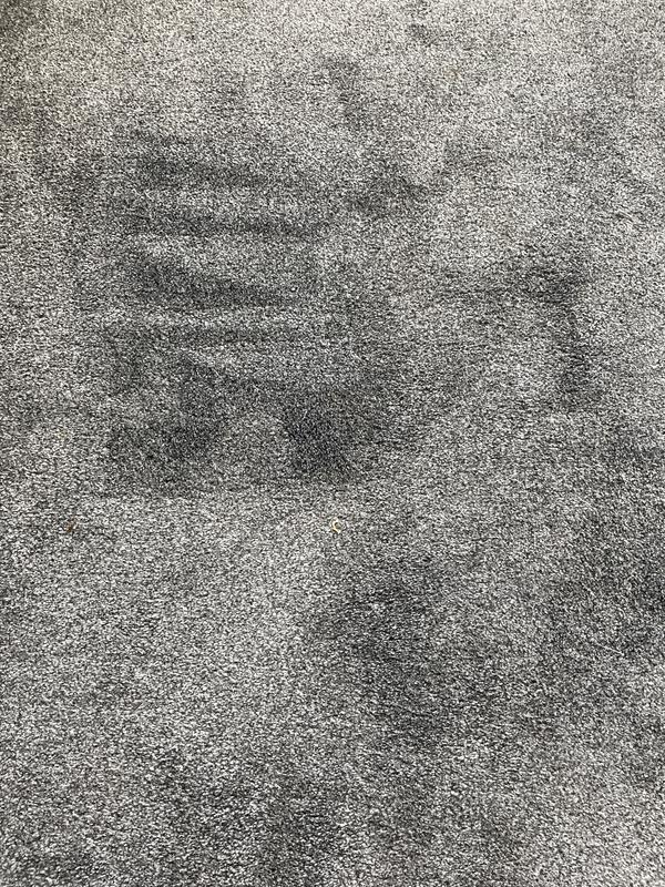 Carpet