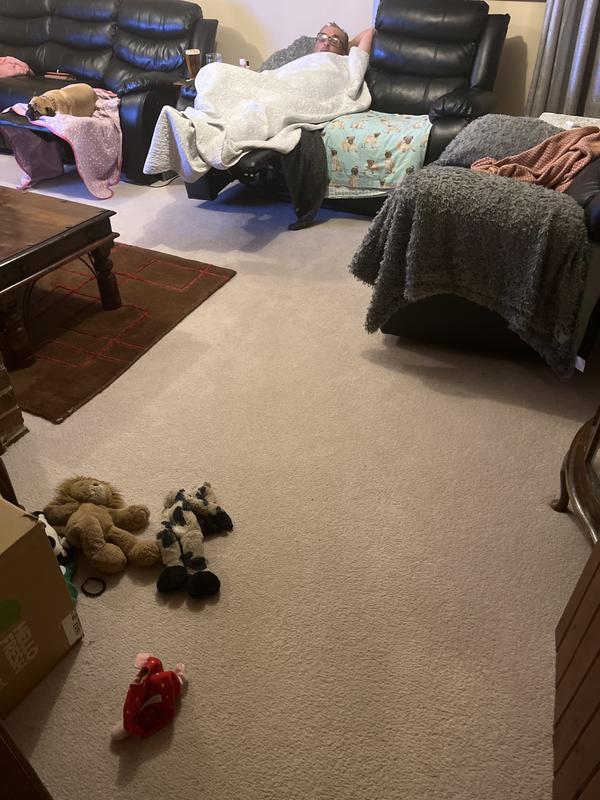 My super clean carpet