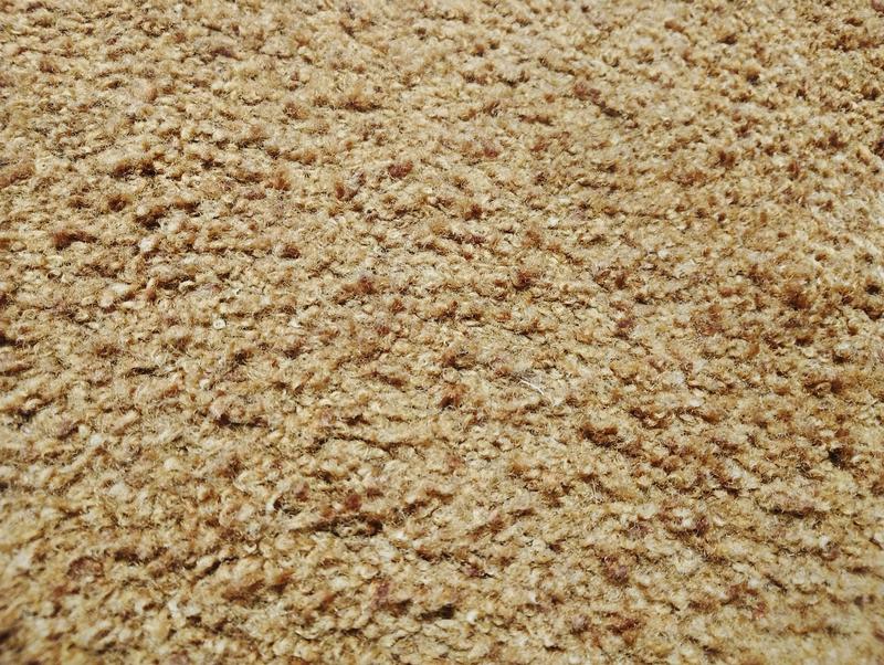 Clean carpet