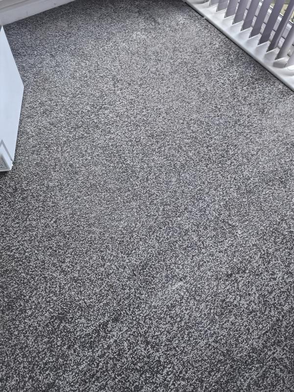 My new apartment, the previous occupiers messed the house with embedded animals hair. The attached photos were after vacuuming the apartment 5x