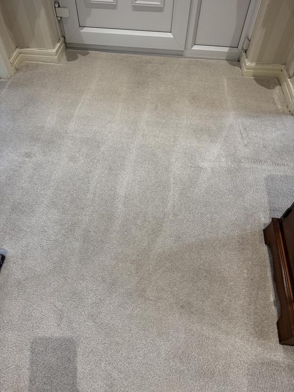 My carpets, before and after