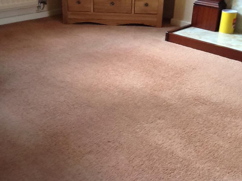 A very old carpet in house I have just moved to but after use pile lifted again
