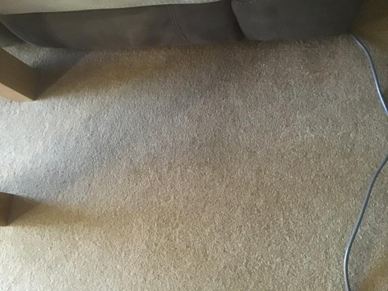 User generated review image 3