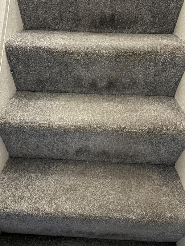 Carpet cleaner and solution in action