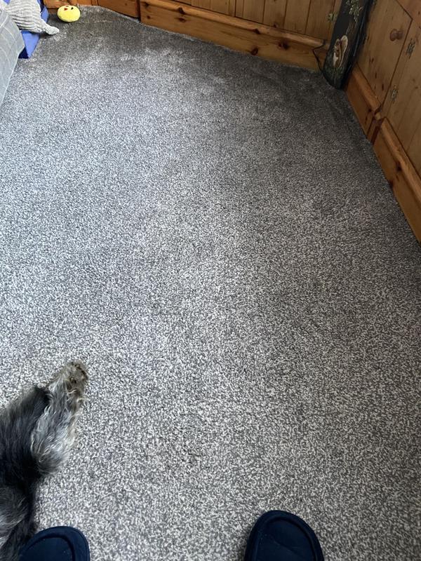 The cleaned carpet!