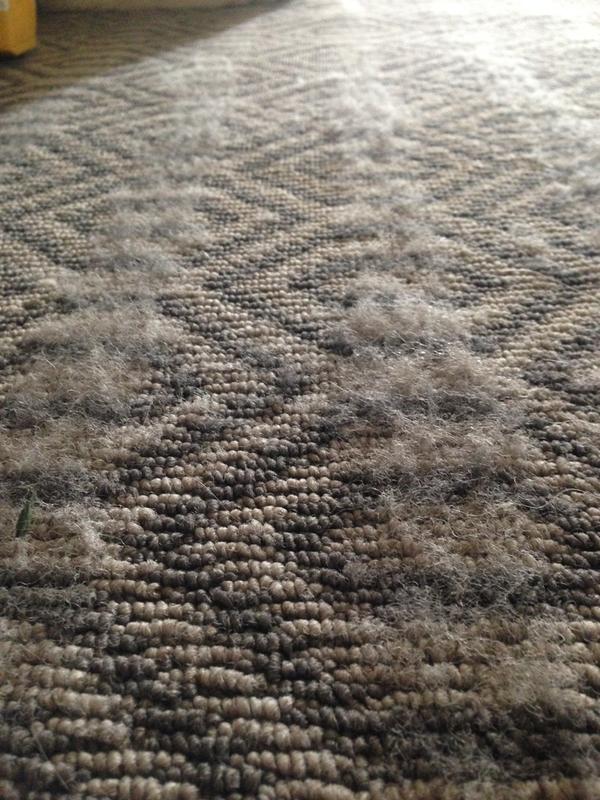 My 6 week old carpet ruined, the vax has pulled all the threads out