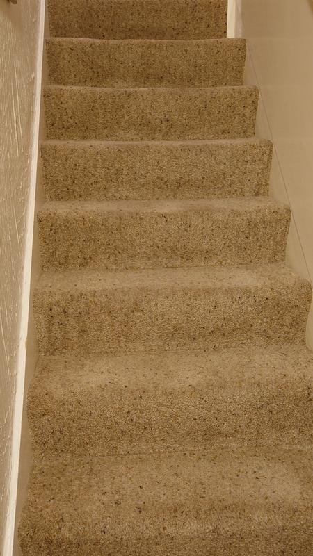 Stair carpet washed with Vax SpotWashMax Pet-Design.