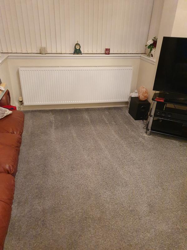 Nice clean carpet and smelling really fresh.