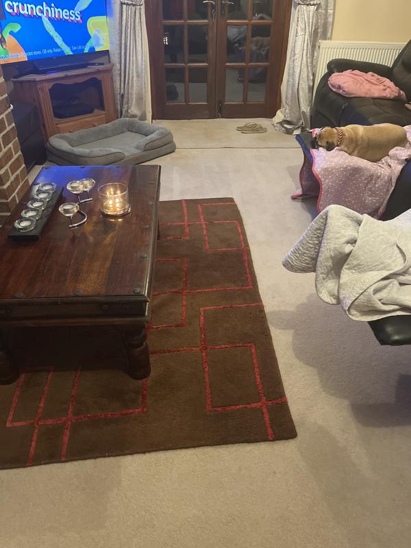 My super clean carpet